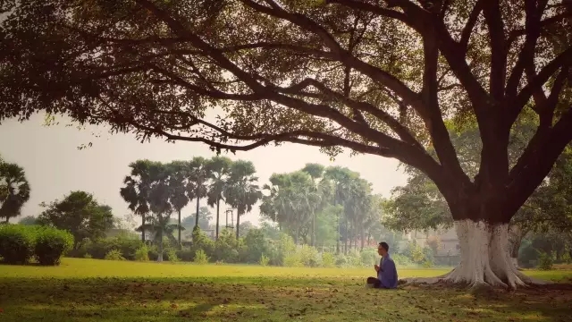 2017觉之路世界文化之旅第一站:印度+尼泊尔13日圣地游 2017觉之路世界文化之旅第一站:印度+尼泊尔13日圣地游