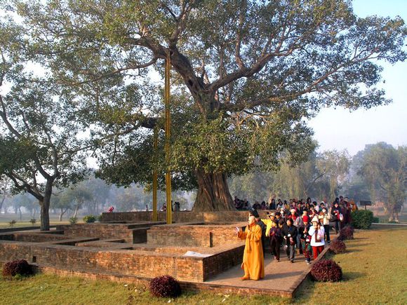 2017觉之路世界文化之旅第一站:印度+尼泊尔13日圣地游 2017觉之路世界文化之旅第一站:印度+尼泊尔13日圣地游