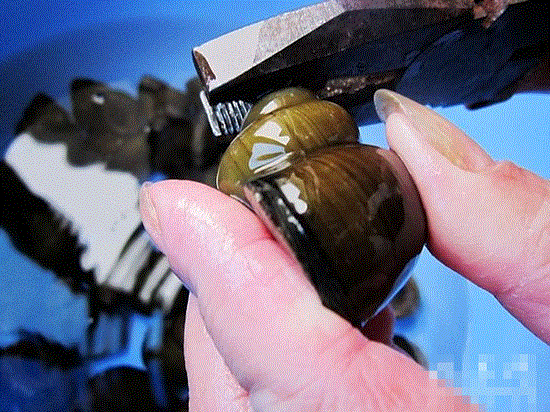 ΪʲôҪ�������ݣ�