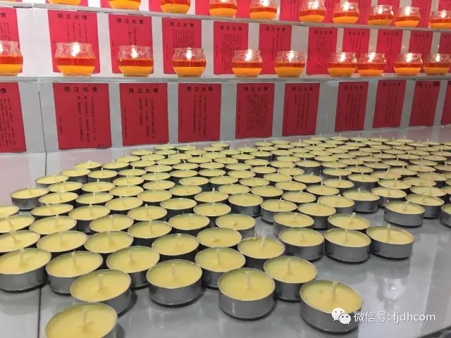 2017��ҩ������ʥ���ա������۹��ƻع�