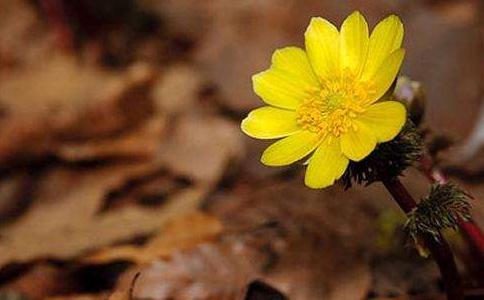 ѧ��֮��,��ԸΪ��