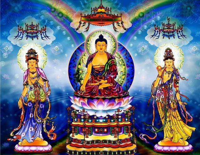 2017��ҩʦ��ʥ���������۹��ƹ��ޣ���Բ����