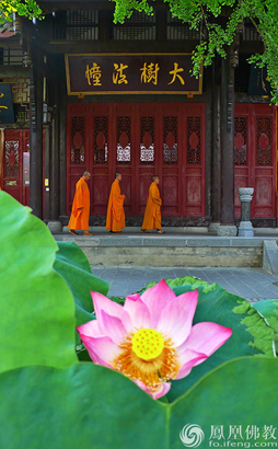 ���������鵱�ճ���Ϊ��_����׷������Ų�֤�ù�λ