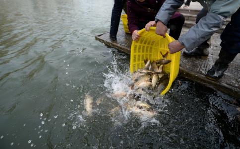 ����ʹ������ϲ����ϲ