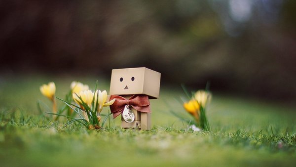 放弃争执,一切随它去 放弃争执,一切随它去