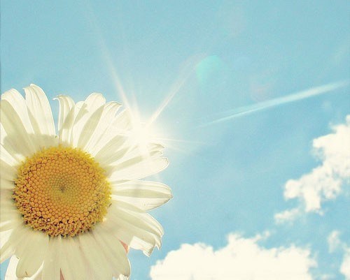 以孝亲之心礼诵,功德更大 以孝亲之心礼诵,功德更大