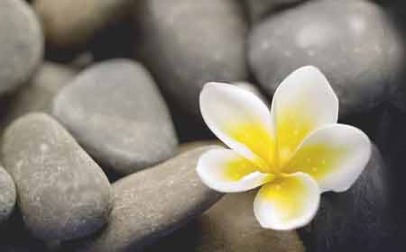 ����ʩһ�ˣ���������