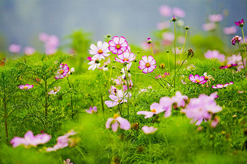 ���н�վ�������óɾ�