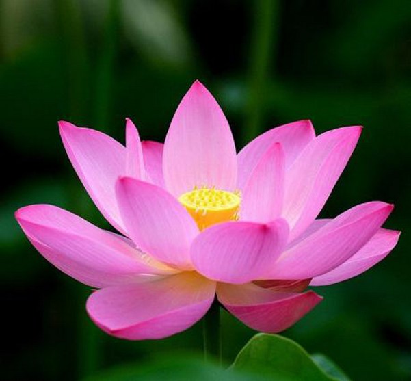 �����������ǰ������ǵ���